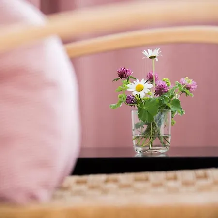 Hotel Gasthof Lindenbuck *